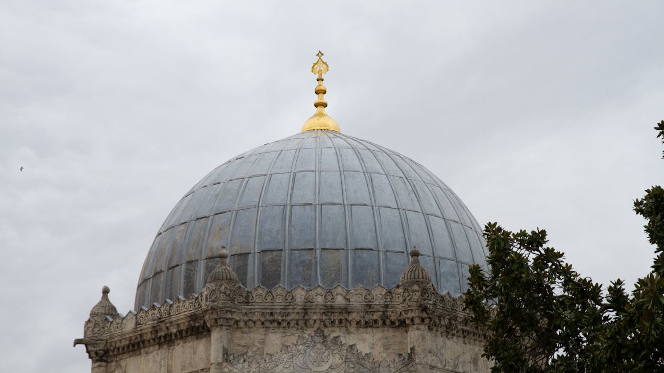 Ailenin Yeni Üyesi Reşat Kimdir?