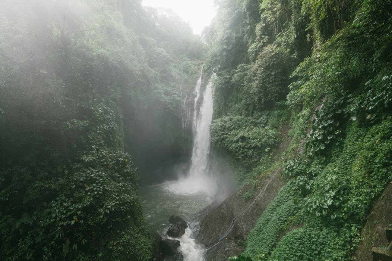 Bircan Bali Kimdir?