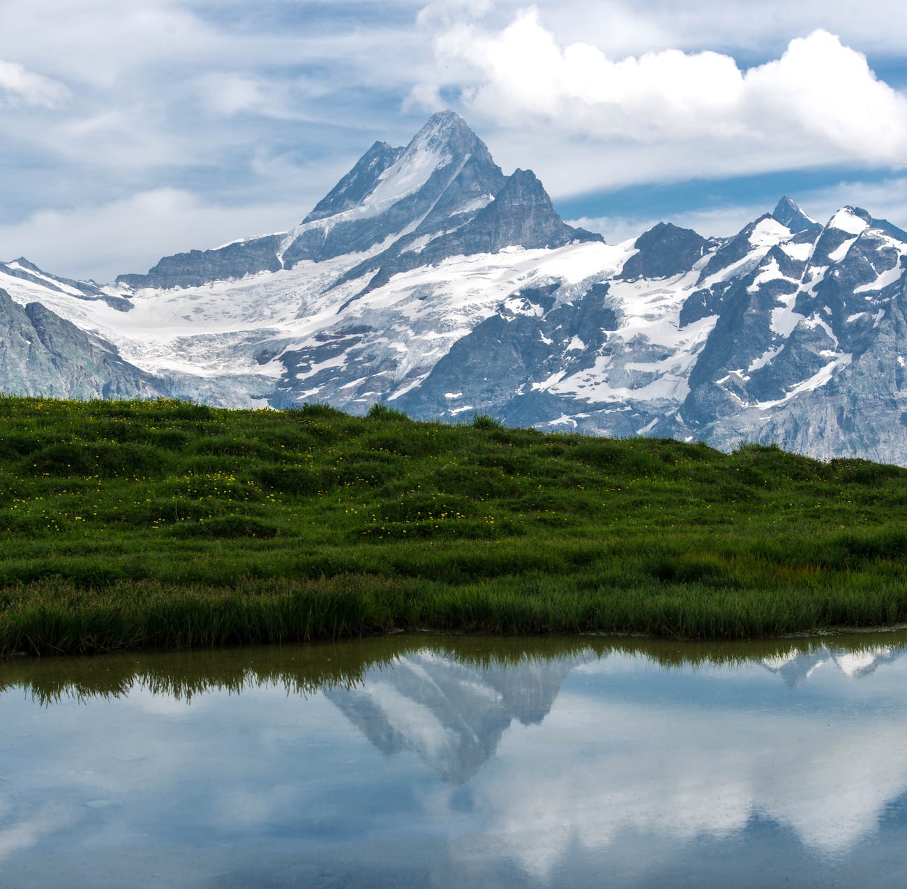 Grindelwald Kimdir?