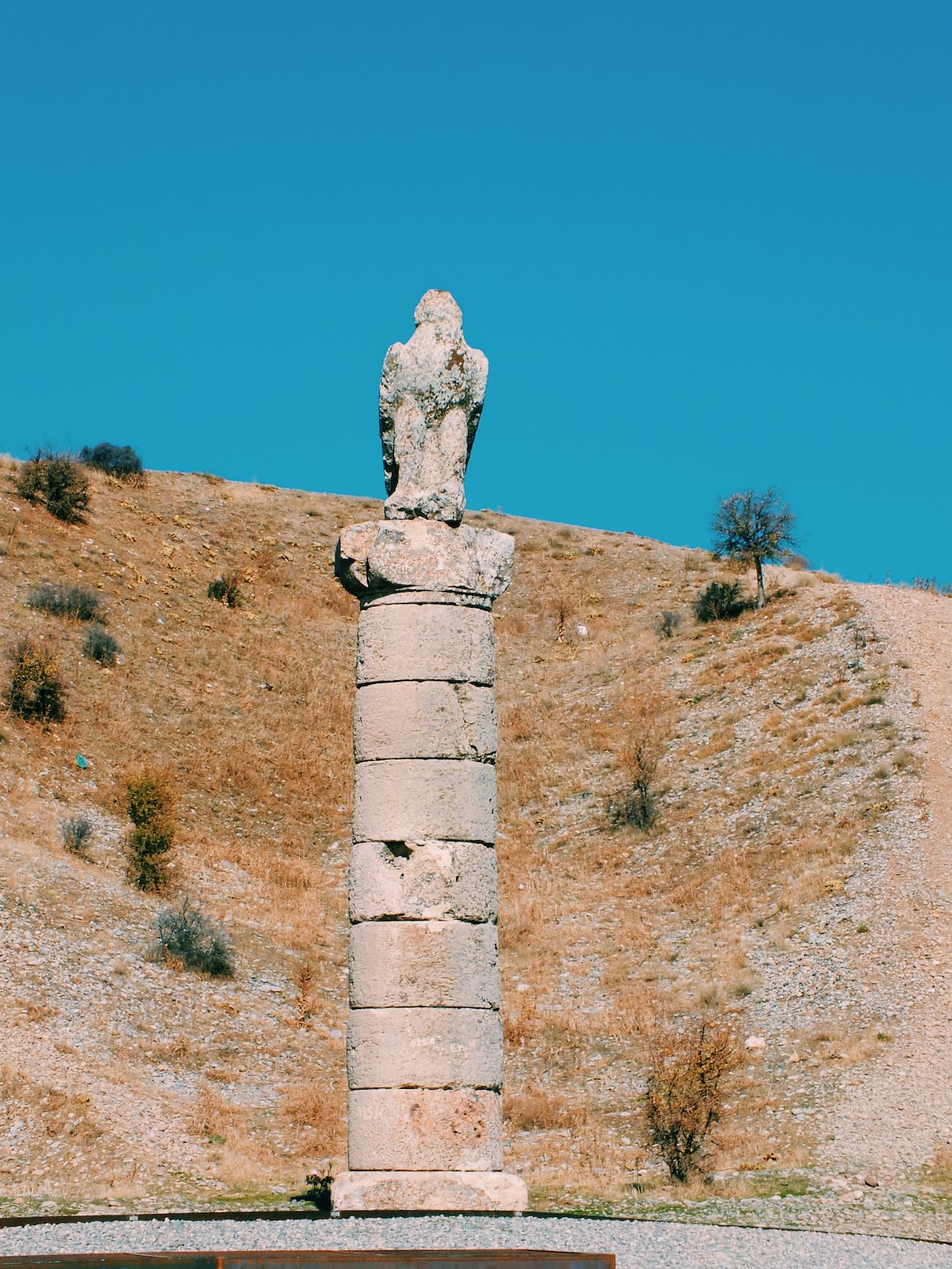 Tezcan Karakuş Kimdir?