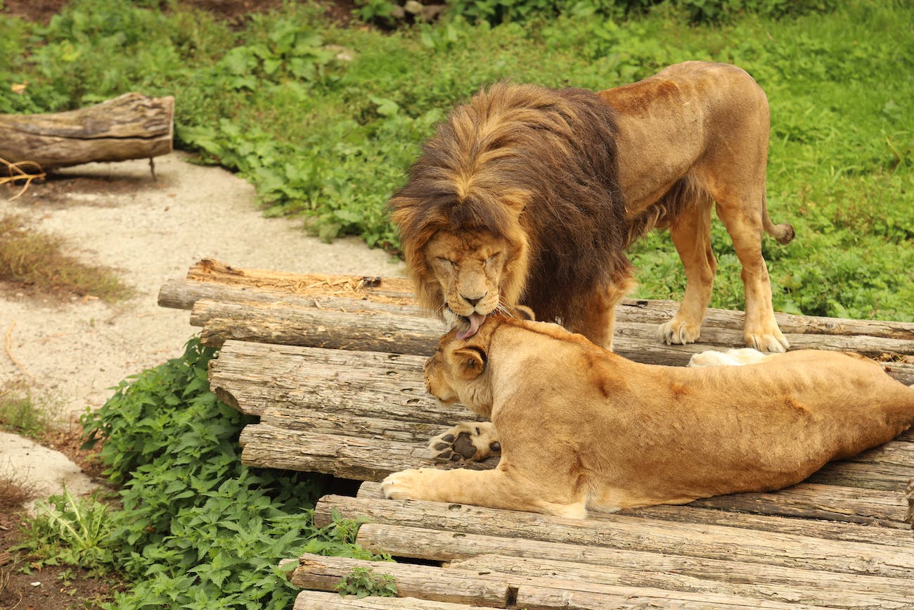 Uğur Aslan Kimdir, Nerelidir?