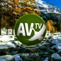 Av Tv Canlı izle