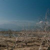 Cansın Helvacı Kimdir? Kiminle Evli?