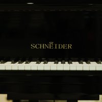 Dean Schneider Kimdir?