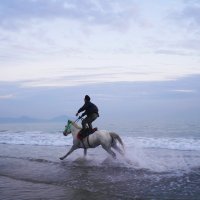 Deniz Bağan Kimdir?