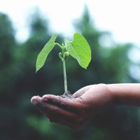 Dünyanın Küre Şeklinde Olduğunu İleri Süren İlk Kişi Kimdir?