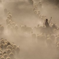 Eşref Bitlis Kimdir?