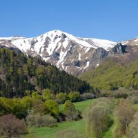 Gülcan Alp Kimdir? Nerelidir?