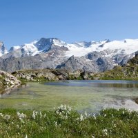 Gülcan Alp Kimdir?