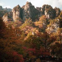 Kasım Yayla Kimdir?