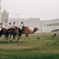 Kolluk Amiri Kimdir?