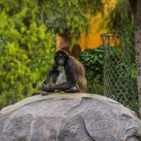 Kör Agop Kimdir? - Yaşamı, Eserleri ve Etkisi