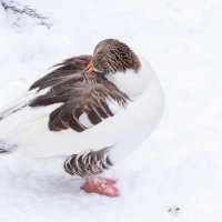 Lütfi Kırdar Kimdir?