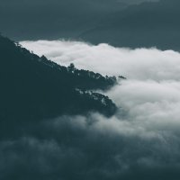 Oray Eğin Kimdir?