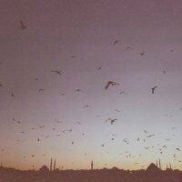 Türkiye'de Kürt Cumhurbaşkanı Kimdir?