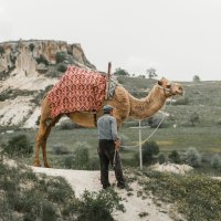 Türkiye'nin İlk Başbakanı Kimdir?