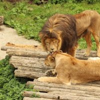 Uğur Aslan Kimdir, Nerelidir?