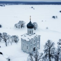 Vladimir Shmondenko Kimdir?