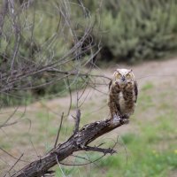 Zuhal Kartal Kimdir? Nerelidir?