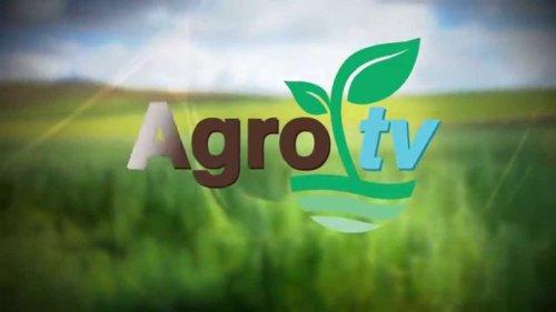 Agro Tv Canlı izle