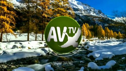 Av Tv Canlı izle