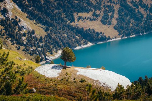 Bafralı Ciko Kimdir?