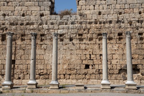 Başaran Aksu Kimdir?