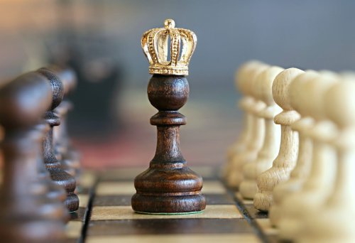 Begüm Ece Pazarcı Kimdir?