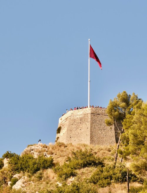 Berat Albayrak Kimdir?