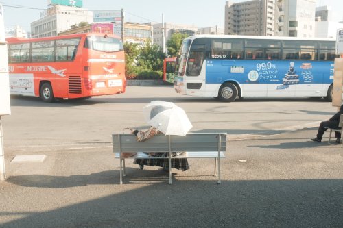 Elif Buse Doğan Kimdir?