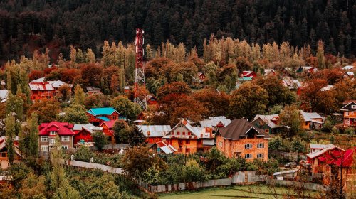 Engin Koyun Kimdir? Ne İş Yapar?