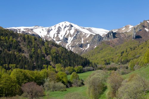 Gülcan Alp Kimdir? Nerelidir?