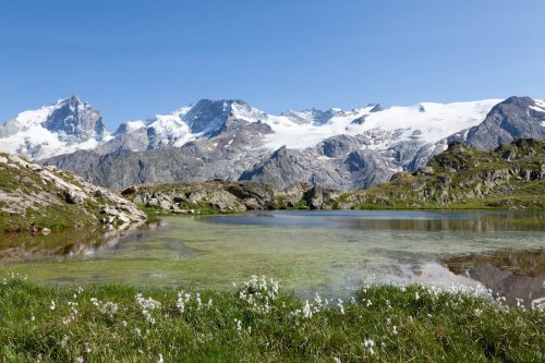 Gülcan Alp Kimdir?