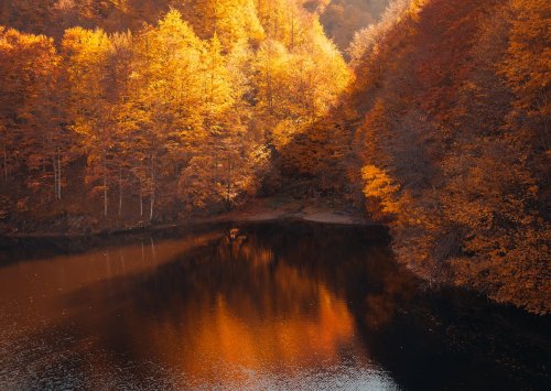 Güzin Çorağan Kimdir?