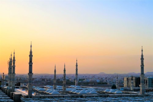Hayvanlarla Konuşan Peygamber Kimdir?