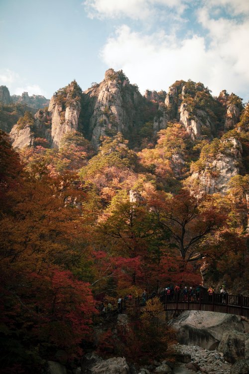 Kasım Yayla Kimdir?