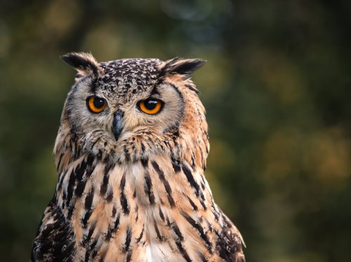 Kazım Kartal Kimdir?