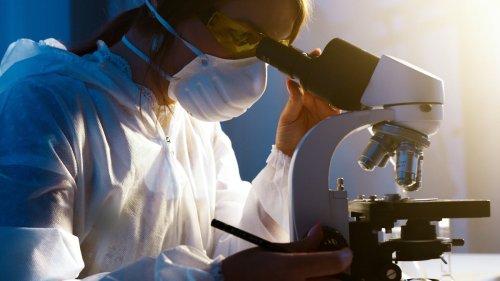 Paradigma Kavramını Kullanan Düşünür Kimdir?