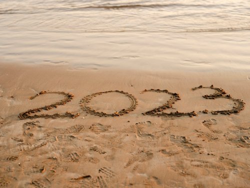 Survivor 2023 Asena Kimdir?