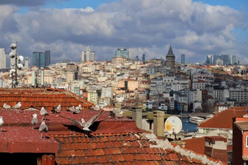 Türkiye'de Çalışma Bakanı Kimdir?