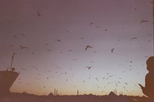 Türkiye'de Müzeciliği Başlatan Kimdir?
