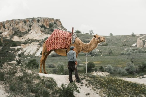 Türkiye'nin İlk Kadın Bakanı